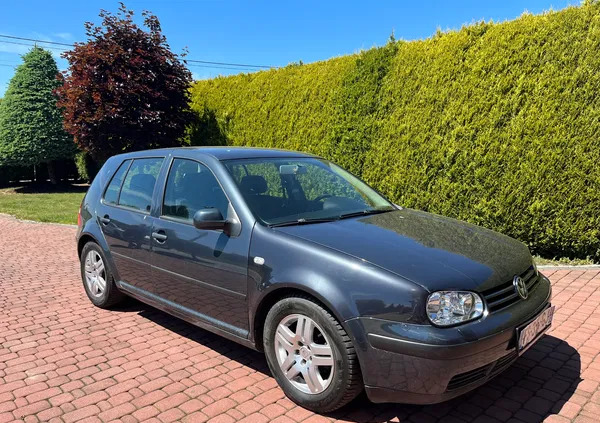 volkswagen golf Volkswagen Golf cena 6800 przebieg: 226000, rok produkcji 2003 z Nowy Wiśnicz